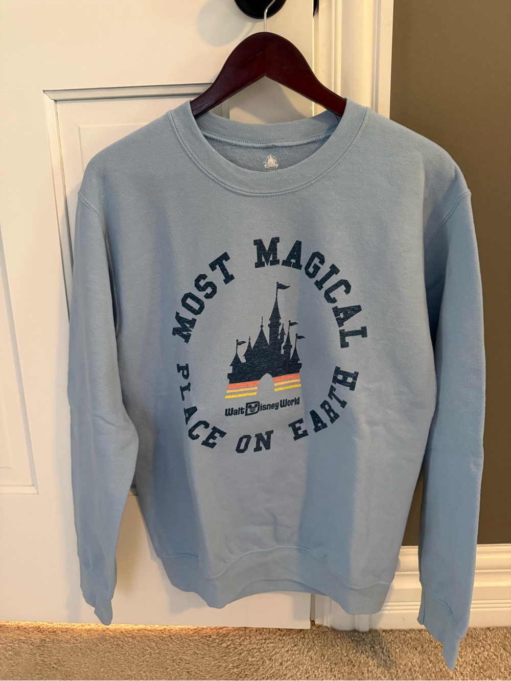 Disney Parks Sweatshirt